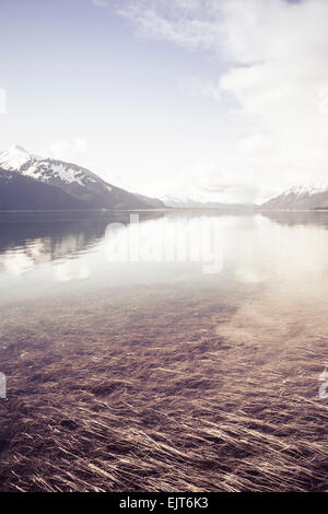 Wasser für Strandhafer auf der Chilkat Inlet in Alaska, als die Flut mit Vintage-Färbung kommt. Stockfoto