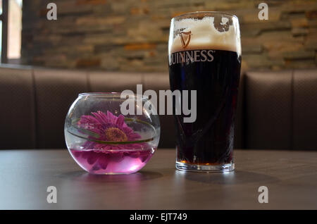 Ein Pint das schwarze Zeug sitzen in einer Kneipe-Tabelle mit einer Blume in eine Schüssel mit Wasser schweben Stockfoto