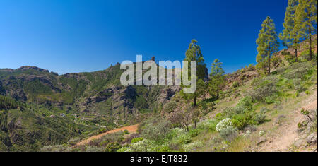Gran Canaria, Blick über die Caldera de Tejeda zum Roque Nublo Stockfoto