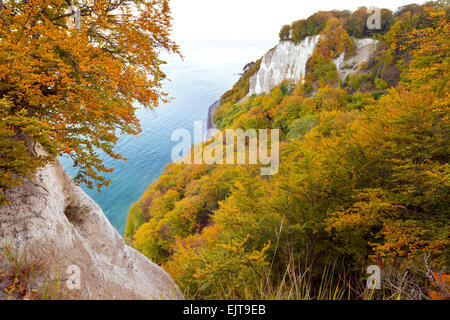 Blick von oben auf die Koenigsstuhl (Königs Stuhl), Stubbenkammer, Insel Rügen, Mecklenburg-Vorpommern, Deutschland. Stockfoto