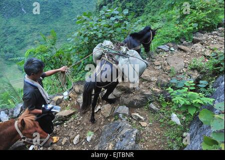 (150401)--DAHUA, 1. April 2015 (Xinhua)--? Baustoffe werden von einem Pferd auf der Bergstrasse im Nongwei Dorf dann Township im Südwesten Chinas autonome Region Guangxi Zhuang, 18. Juni 2014 durchgeführt. Wegen des Mangels an Flachland bauen die meisten Familien in den westlichen Bergregionen der Dahua ihre Häuser auf Hügeln. In den Qibainong und dann der Dahua haben Menschen der Miao ethnische Gruppe in den Bergen etwa eintausend Jahre lang gelebt. Sie zählen auf die Anpflanzung von Hühneraugen für ihren Lebensunterhalt. Gestelzt dreistöckige Gebäude ist der traditionellen Architektur-Stil in th Stockfoto