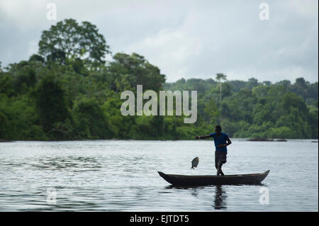 Kastanienbrauner junge Angeln von einem Boot auf dem oberen Suriname River, neue Aurora, Suriname Stockfoto