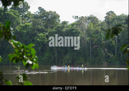 Transport-Boot an der oberen Suriname River, Surinam Stockfoto