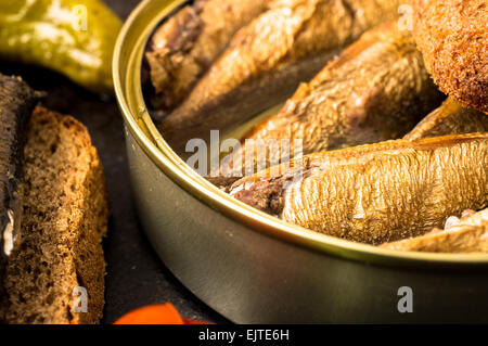 Großen geräucherte Sardinen in einer Zinn-Nahaufnahme Stockfoto