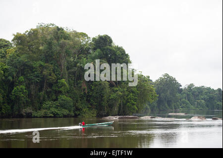 Boot auf der oberen Suriname River, Surinam Stockfoto