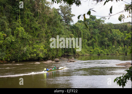 Boot auf der oberen Suriname River, Surinam Stockfoto