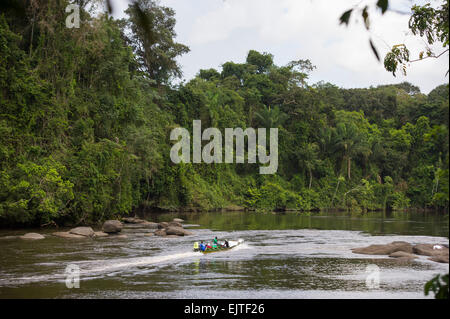 Boot auf der oberen Suriname River, Surinam Stockfoto