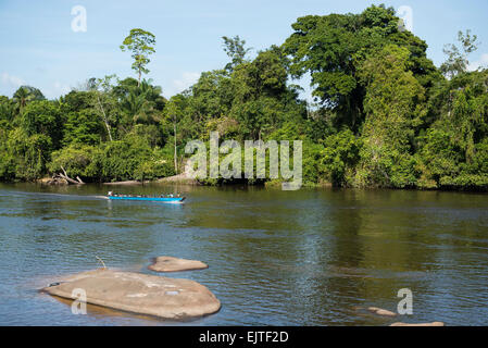 Schule-Boot an der oberen Suriname River, Surinam Stockfoto