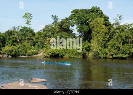 Schule-Boot an der oberen Suriname River, Surinam Stockfoto