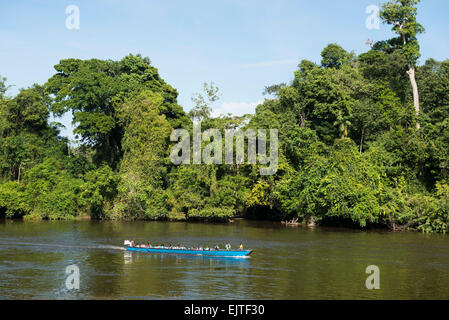 Schule-Boot an der oberen Suriname River, Surinam Stockfoto