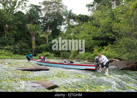 Schieben ein Boot über die Stromschnellen an der oberen Suriname River, Surinam Stockfoto