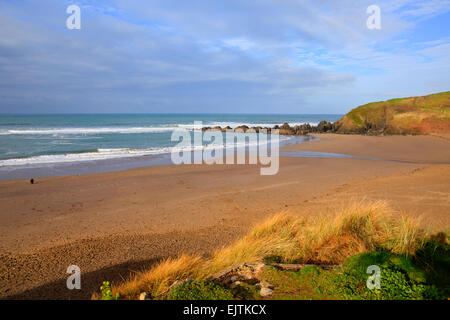 Challaborough Beach South Devon England Großbritannien in der Nähe von Burgh Island und Bigbury-sur-mer auf dem South West Coast path Stockfoto