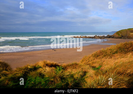 Challaborough Beach South Devon England Großbritannien in der Nähe von Burgh Island und Bigbury-sur-mer auf dem South West Coast path Stockfoto