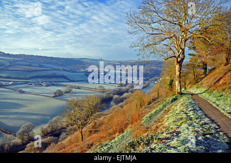 Die Aussicht über das Tal von River Torridge von Castle Hill, Great Torrington, North Devon, England Stockfoto