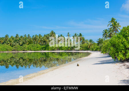 Palm Beach Maradhoo, Gan, Addu Atoll, Seenu Atoll, Laccadive Meer, Malediven, Indischer Ozean Stockfoto