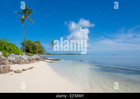 Palm Beach Maradhoo, Gan, Addu Atoll, Seenu Atoll, Laccadive Meer, Malediven, Indischer Ozean Stockfoto