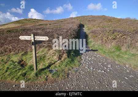 Wegweiser auf dem Fußweg der Südwestküste in der Nähe von Baggy Punkt Landzunge, Lügner, North Devon, England Stockfoto