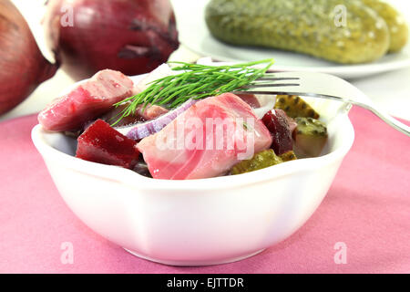 Matie Salat mit rote Beete, Zwiebeln und Gurken Stockfoto