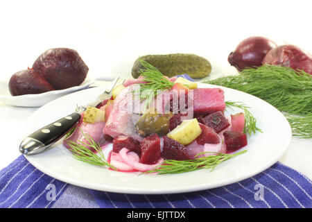 Matie Salat mit rote Beete, Zwiebeln und Gurken Stockfoto