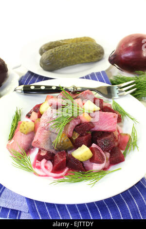 Matie Salat mit rote Beete, Zwiebeln und Gurken Stockfoto