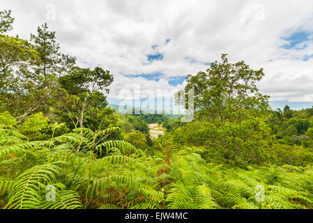 Dichten Regenwald und atemberaubende Landschaft in Toraja-Gebiet, Süd-Sulawesi, Indonesien. Panorama von oben mit dramatischen Wolke Stockfoto