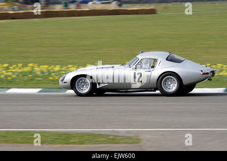 Der Jaguar E-Type Low Drag von Mark Gibbon Kurven hart an der Goodwood Mitglieder 2015 Stockfoto