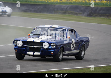 Ford Shelby Mustang GT350 von Rupert Clevely und R Hartley Kurven hart an der Goodwood Mitglieder 2015 Stockfoto