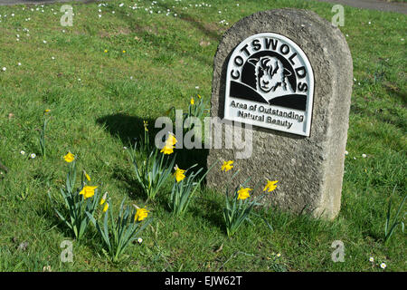 Frühling Narzissen vor Cotswolds "Area of outstanding natural Beauty" zu unterzeichnen. Burford, UK Stockfoto