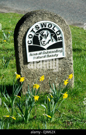 Frühling Narzissen vor Cotswolds "Area of outstanding natural Beauty" zu unterzeichnen. Burford, UK Stockfoto