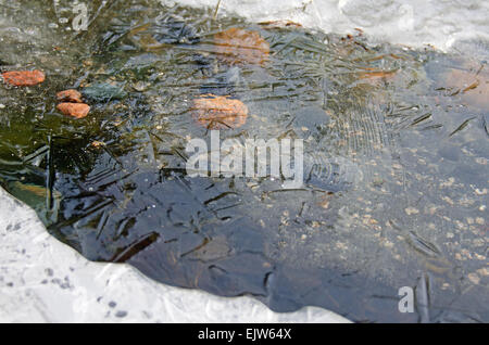 Dünnem Eis bilden über einem Bach mündet, die in den Ozean an kleinen Jäger Strand, Acadia National Park, Maine. Stockfoto