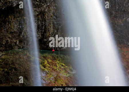 OR02059-00... OREGON - Blick auf Wanderer Blick auf Norden fällt hinter dem Wasserfall in Silver Falls State Park genommen. Stockfoto