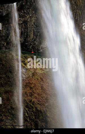 OR02060-00... OREGON - Blick auf Wanderer Blick auf Norden fällt hinter dem Wasserfall in Silver Falls State Park genommen. Stockfoto