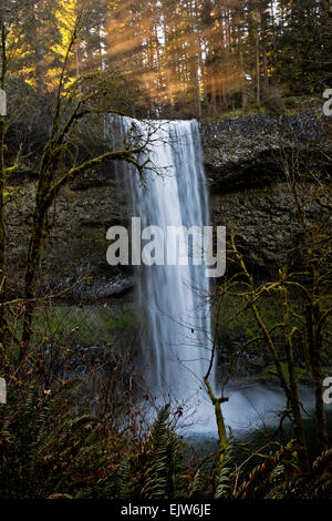 OR02066-00... OREGON - am frühen Morgensonnenlicht streaming über der Spitze der Süden fällt in Silver Falls State Park. Stockfoto