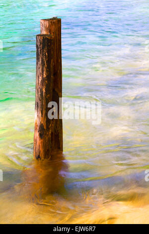 Malerische Wirkung der Baumstamm Beiträge in gesprenkelt Wasser Stockfoto