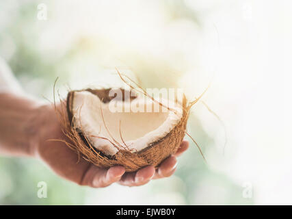 Nahaufnahme eines Mannes Hand, die Teil der Kokosnuss Stockfoto