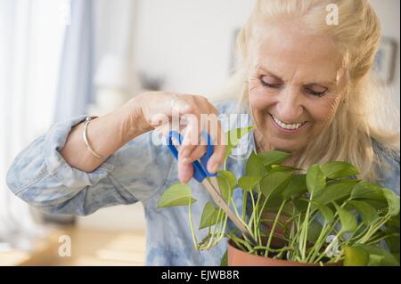 Ältere Frau Zerlegebetrieb Stockfoto