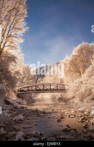 USA, Colorado, Scenic view of stream in winter Stockfoto