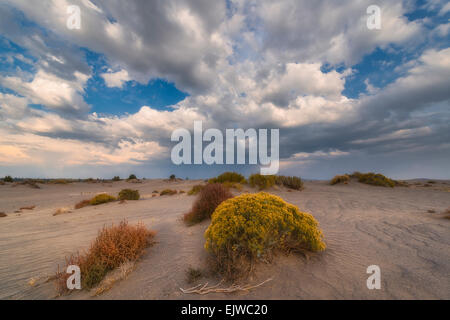 USA, Oregon, Weihnachten Tal Dünen, malerische Aussicht auf die Landschaft Stockfoto