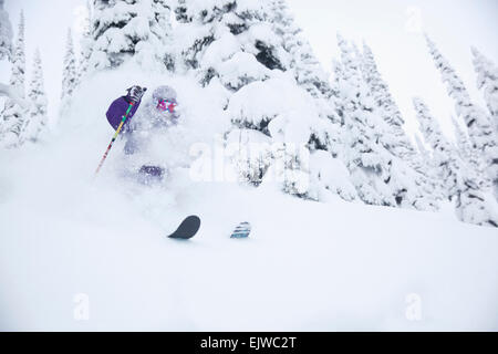 USA, Montana, Felchen, junger Mann im Wald Skifahren Stockfoto