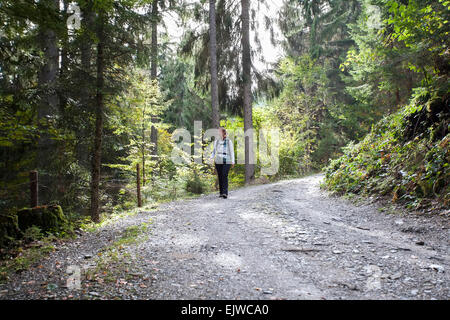 Österreich, Salzburger Land, Maria Alm, Wandern im Wald Frau Stockfoto