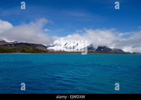 Panorama mit Schnee bedeckt Berge nördliche Küste Süd-Georgien Stockfoto