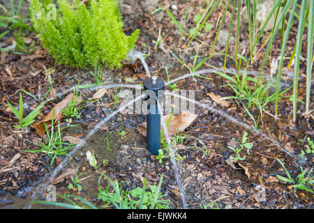 Los Angeles, Kalifornien, USA. 1. April 2015. Am 1. April 2015 kündigte kalifornische Gouverneur Jerry Brown erstmals in der Geschichte zwingend Wasser Kürzungen als der Staat eine vierte Jahr der Dürre betritt. Die Bewässerung der dekorative Gräser auf öffentlicher Straße mediane ist verboten. Dürre tolerant Parkway in South Central Los Angeles, Kalifornien, USA-Dürre. Die Reihenfolge verbietet neue Häuser und Entwicklungen trinkbares Wasser für die Bewässerung verwenden, wenn die Strukturen wassersparende Tropfbewässerung-Systemen fehlen. Bildnachweis: Bürger des Planeten/Alamy Live-Nachrichten Stockfoto