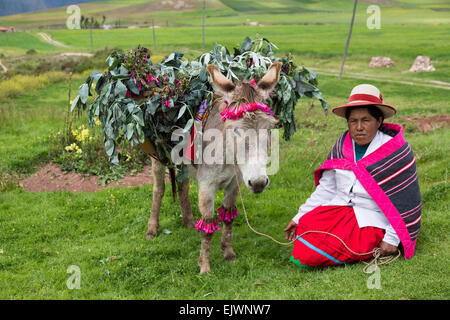 Peru, Moray, Urubamba-Tal.  Quechua-Frau und ihr Esel. Stockfoto
