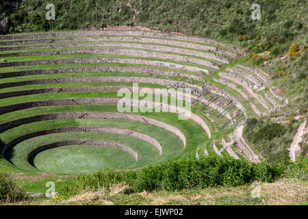 Peru, Moray, Urubamba-Tal.  Eine landwirtschaftliche experimentelle Inkastätte. Stockfoto