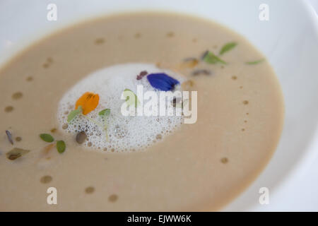 Karamellisiertem Blumenkohl-Suppe mit Meerrettich-Schaum & wilde Blume garnieren, in einer weißen Schüssel serviert. Stockfoto