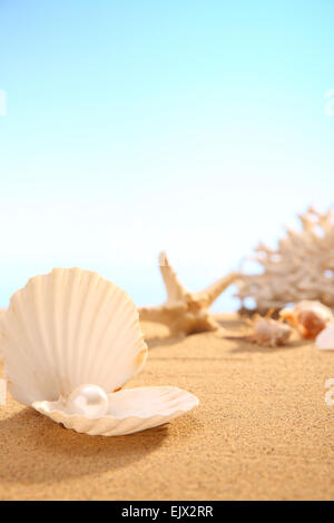 Perlen und Muscheln am Strand Stockfoto