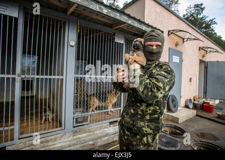 Kiew, Ukraine. 1. April 2015. Polizeihund und Training. Trainerin zeigt 2 Monate alt Belgien Schäferhund Welpen steigt bei Miliz Hundeausbildung und Zucht-Zentrum, Kiew, Ukraine. 1 April. Bildnachweis: Oleksandr Rupeta/Alamy Live-Nachrichten Stockfoto