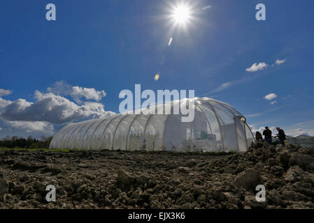 Vancouver, Kanada. 1. April 2015. Eine Raumkapsel geformt landwirtschaftliche Biodome ist auf einem Bauernhof in der Stadt von Surrey in der Nähe von Vancouver, Kanada, 1. April 2015 gesehen. Der 3.000 Quadratmeter große Biodome ist eine geschlossene, geschlossene Umgebung. Paneele werden erstellt, mithilfe einer speziellen Kunststofffolie, die fast totale von Umwelt Isolierung, Umweltverschmutzung und Krankheiten zu vermeiden. Pflanzen ohne Erde wachsen und verbrauchen 10 mal weniger Wasser als die konventionelle Landwirtschaft. Diese Biodome wurde von einem lokalen Technologieunternehmen gebaut,, das Welternährungsproblem Mangel helfen soll. Bildnachweis: Xinhua/Alamy Live Ne Stockfoto