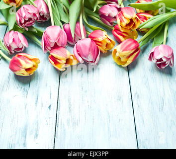 Rosa und rote Tulpen auf einem blauen Hintergrund aus Holz. Platz für Text. Stockfoto