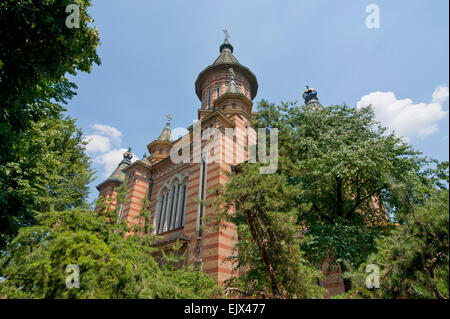 Orthodoxe Kathedrale Timisoara, Temeswar oder Timisoara, Rumänien Stockfoto
